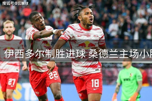 伊西多尔制胜进球 桑德兰主场小胜富勒姆